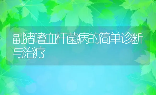 副猪嗜血杆菌病的简单诊断与治疗 | 动物养殖学堂