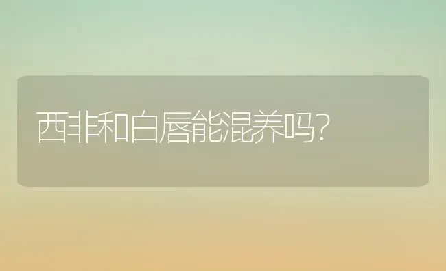 西非和白唇能混养吗？ | 动物养殖问答