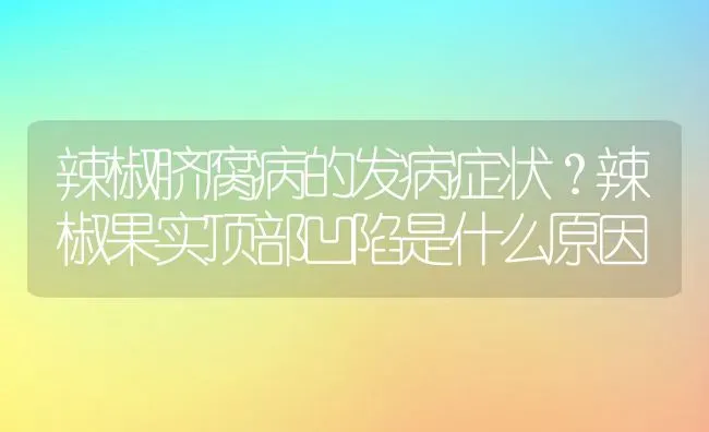 辣椒脐腐病的发病症状？辣椒果实顶部凹陷是什么原因 | 动物养殖教程