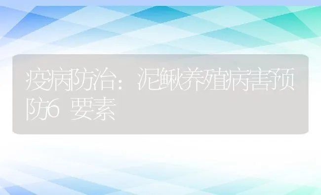 疫病防治：泥鳅养殖病害预防6要素 | 水产养殖知识