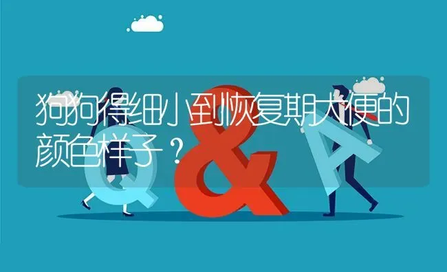 狗狗得细小到恢复期大便的颜色样子？ | 动物养殖问答