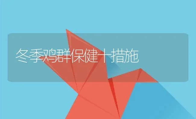 冬季鸡群保健十措施 | 动物养殖学堂