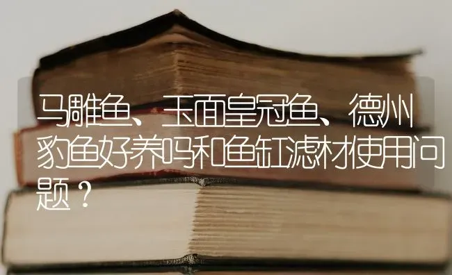 马雕鱼、玉面皇冠鱼、德州豹鱼好养吗和鱼缸滤材使用问题？ | 动物养殖问答