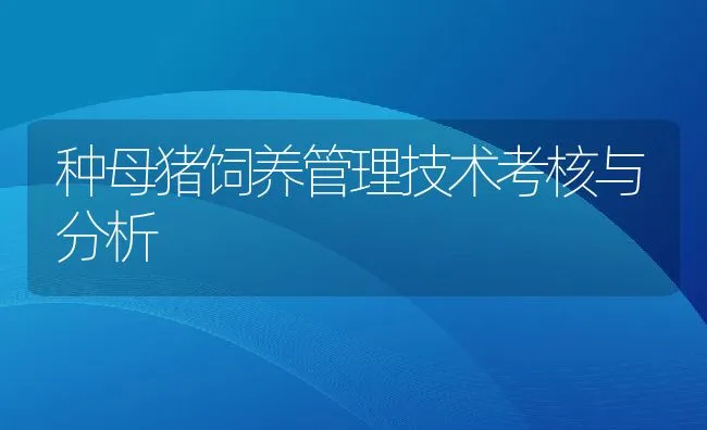 种母猪饲养管理技术考核与分析 | 动物养殖学堂