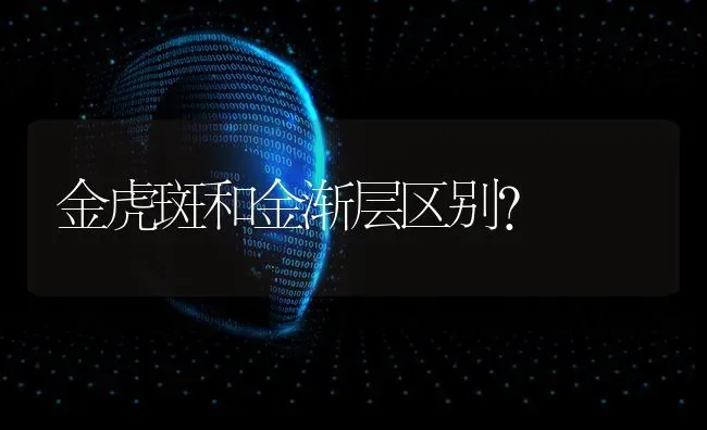 金虎斑和金渐层区别？ | 动物养殖问答