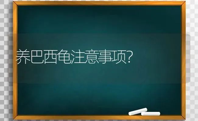 养巴西龟注意事项？ | 动物养殖问答