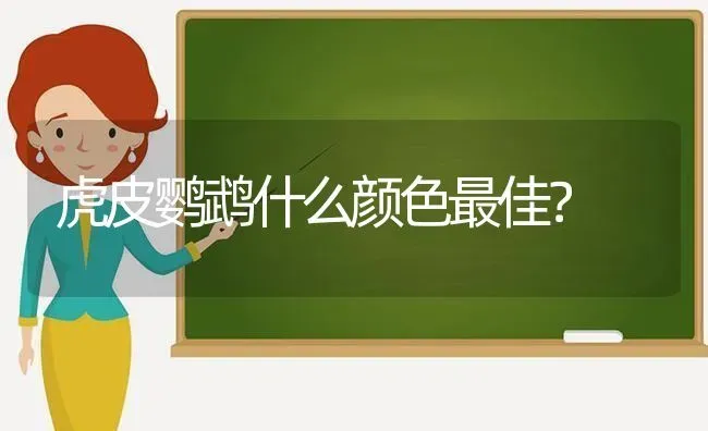 为什么我家阿拉斯加谁都能牵走？平时看见主人也不会摇尾巴？这种狗是不是没用不能看家？ | 动物养殖问答