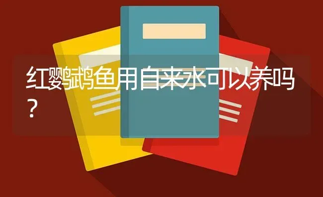 红鹦鹉鱼用自来水可以养吗？ | 鱼类宠物饲养