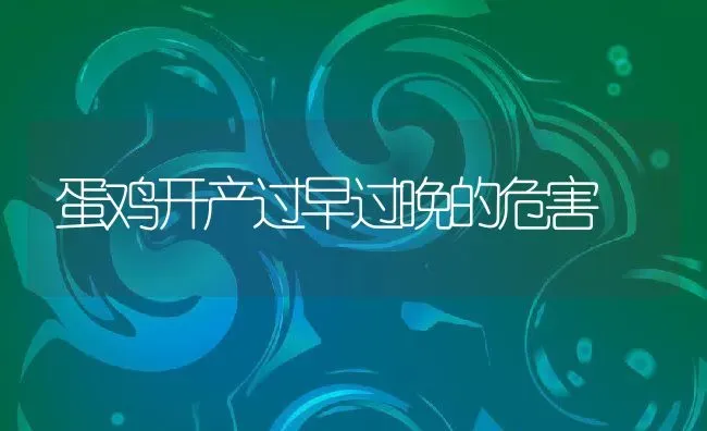 蛋鸡开产过早过晚的危害 | 动物养殖百科