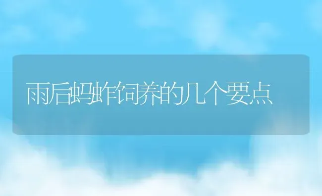 雨后蚂蚱饲养的几个要点 | 动物养殖教程