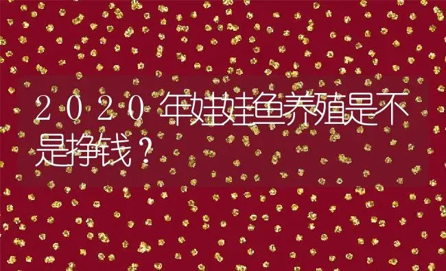 2020年娃娃鱼养殖是不是挣钱？ | 动物养殖百科