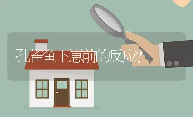 孔雀鱼下崽前的反应？ | 鱼类宠物饲养