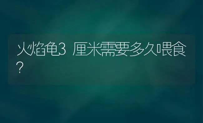 火焰龟3厘米需要多久喂食？ | 动物养殖问答