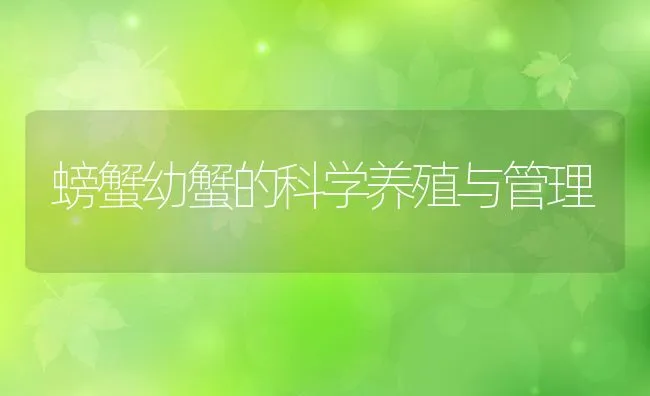 螃蟹幼蟹的科学养殖与管理 | 动物养殖饲料