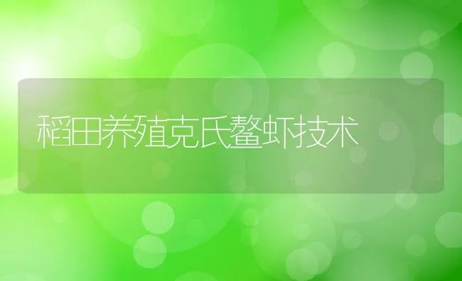 稻田养殖克氏鳌虾技术 | 动物养殖饲料