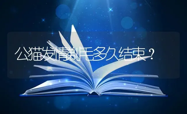 公猫发情剃毛多久结束？ | 动物养殖问答