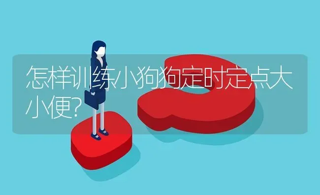 怎样训练小狗狗定时定点大小便？ | 动物养殖问答