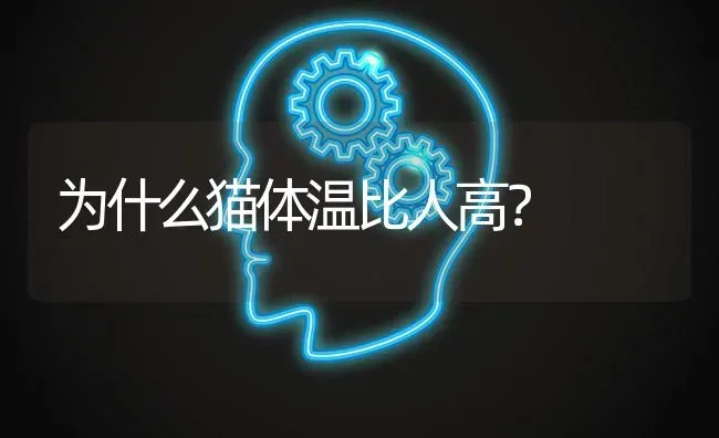 为什么猫体温比人高？ | 动物养殖问答