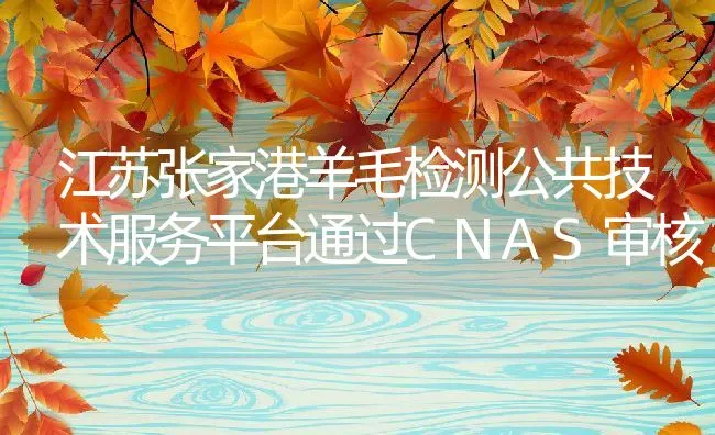 江苏张家港羊毛检测公共技术服务平台通过CNAS审核 | 动物养殖饲料