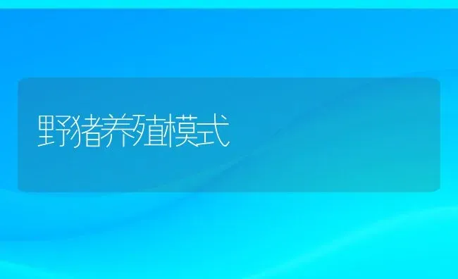 野猪养殖模式 | 动物养殖百科