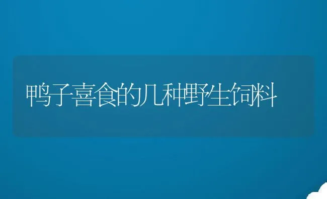 特种养殖新品---玛瑙螺 | 动物养殖学堂