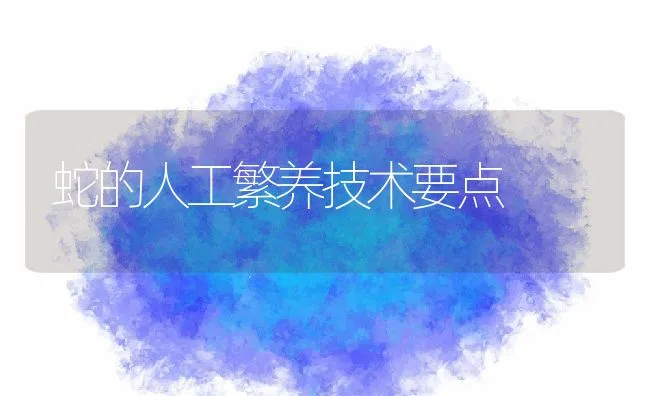 蛇的人工繁养技术要点 | 水产养殖知识