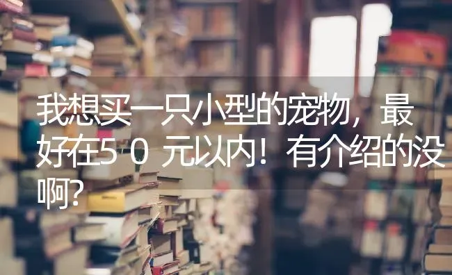 我想买一只小型的宠物，最好在50元以内！有介绍的没啊？ | 动物养殖问答