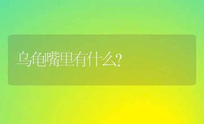 乌龟嘴里有什么？ | 动物养殖问答