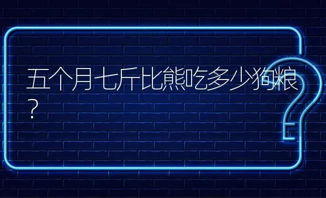 五个月七斤比熊吃多少狗粮？ | 动物养殖问答