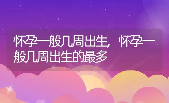 怀孕一般几周出生,怀孕一般几周出生的最多 | 宠物百科知识