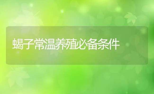 蝎子常温养殖必备条件 | 动物养殖饲料