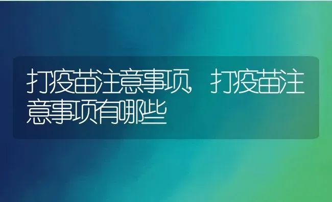 打疫苗注意事项,打疫苗注意事项有哪些 | 宠物百科知识