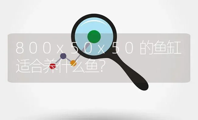 800x50x50的鱼缸适合养什么鱼？ | 鱼类宠物饲养