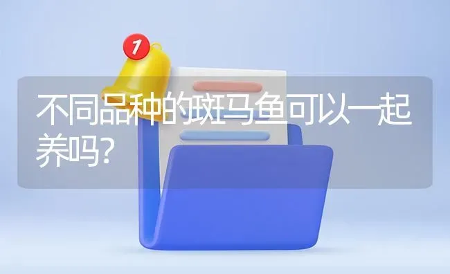 不同品种的斑马鱼可以一起养吗？ | 鱼类宠物饲养