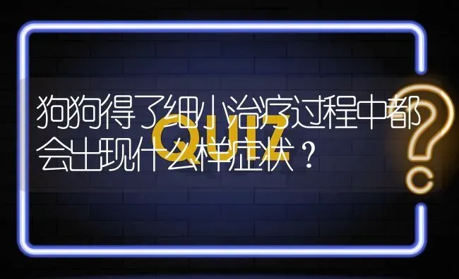 狗狗得了细小治疗过程中都会出现什么样症状？ | 动物养殖问答