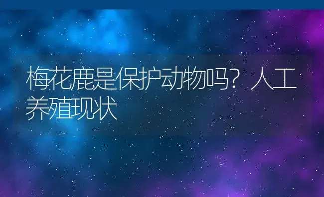 梅花鹿是保护动物吗？人工养殖现状 | 动物养殖百科