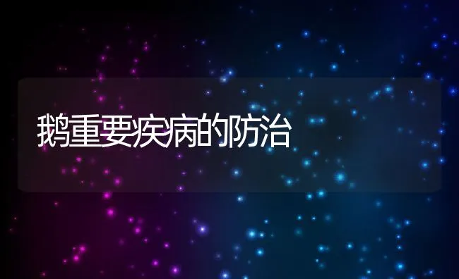 泥鳅苗种培育管理技术要点 | 海水养殖技术