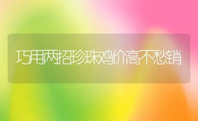 巧用两招珍珠鸡价高不愁销 | 特种养殖技术