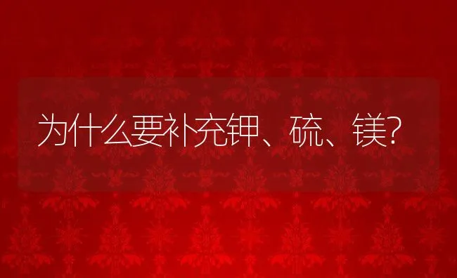 为什么要补充钾、硫、镁？ | 动物养殖学堂