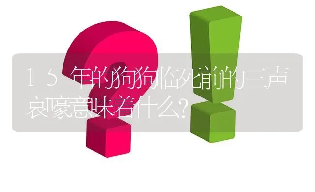 15年的狗狗临死前的三声哀嚎意味着什么？ | 动物养殖问答