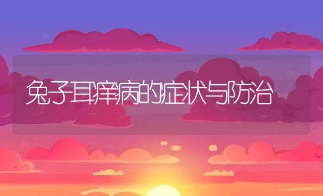 兔子耳痒病的症状与防治 | 水产养殖知识