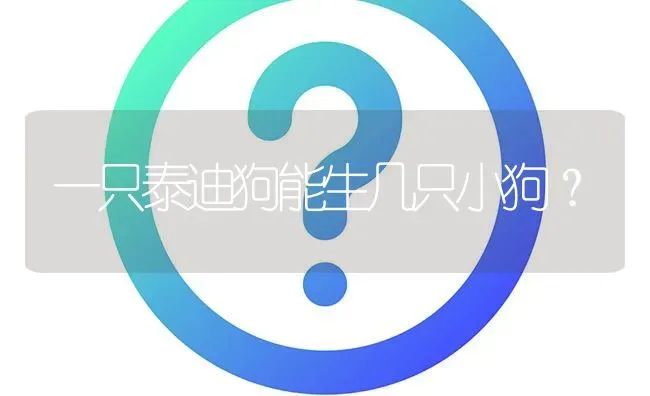 一只泰迪狗能生几只小狗？ | 动物养殖问答