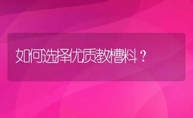 如何选择优质教槽料？ | 动物养殖饲料