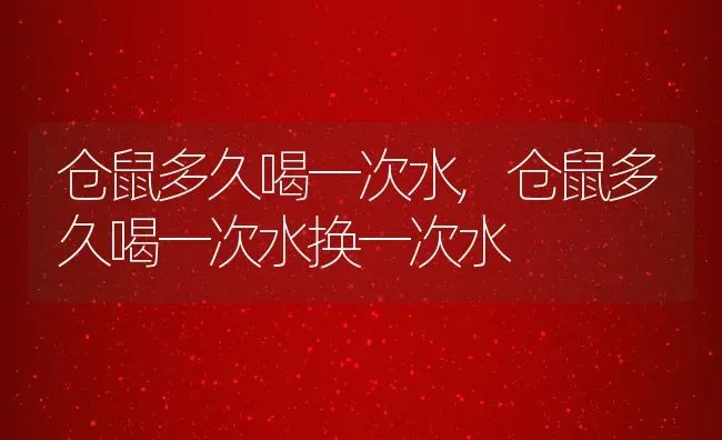 仓鼠多久喝一次水,仓鼠多久喝一次水换一次水 | 宠物百科知识