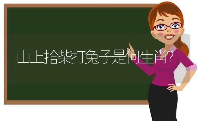 山上拾柴打兔子是何生肖？ | 动物养殖问答