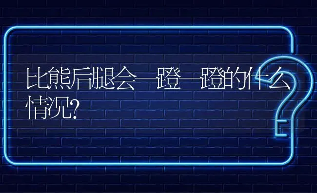 比熊后腿会一蹬一蹬的什么情况？ | 动物养殖问答