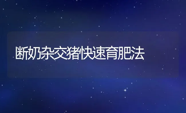 南美白对虾水泥池养殖要点 | 动物养殖饲料