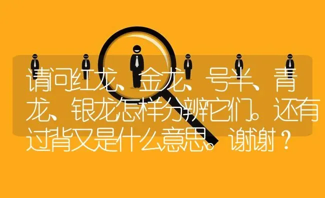 请问红龙、金龙、号半、青龙、银龙怎样分辨它们。还有过背又是什么意思。谢谢？ | 鱼类宠物饲养