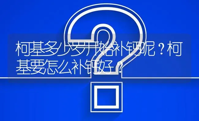 柯基多少岁开始补钙呢？柯基要怎么补钙好？ | 动物养殖问答