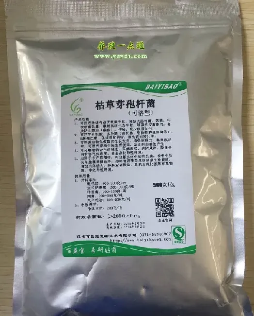 枯草芽孢杆菌在水产养殖中的应用